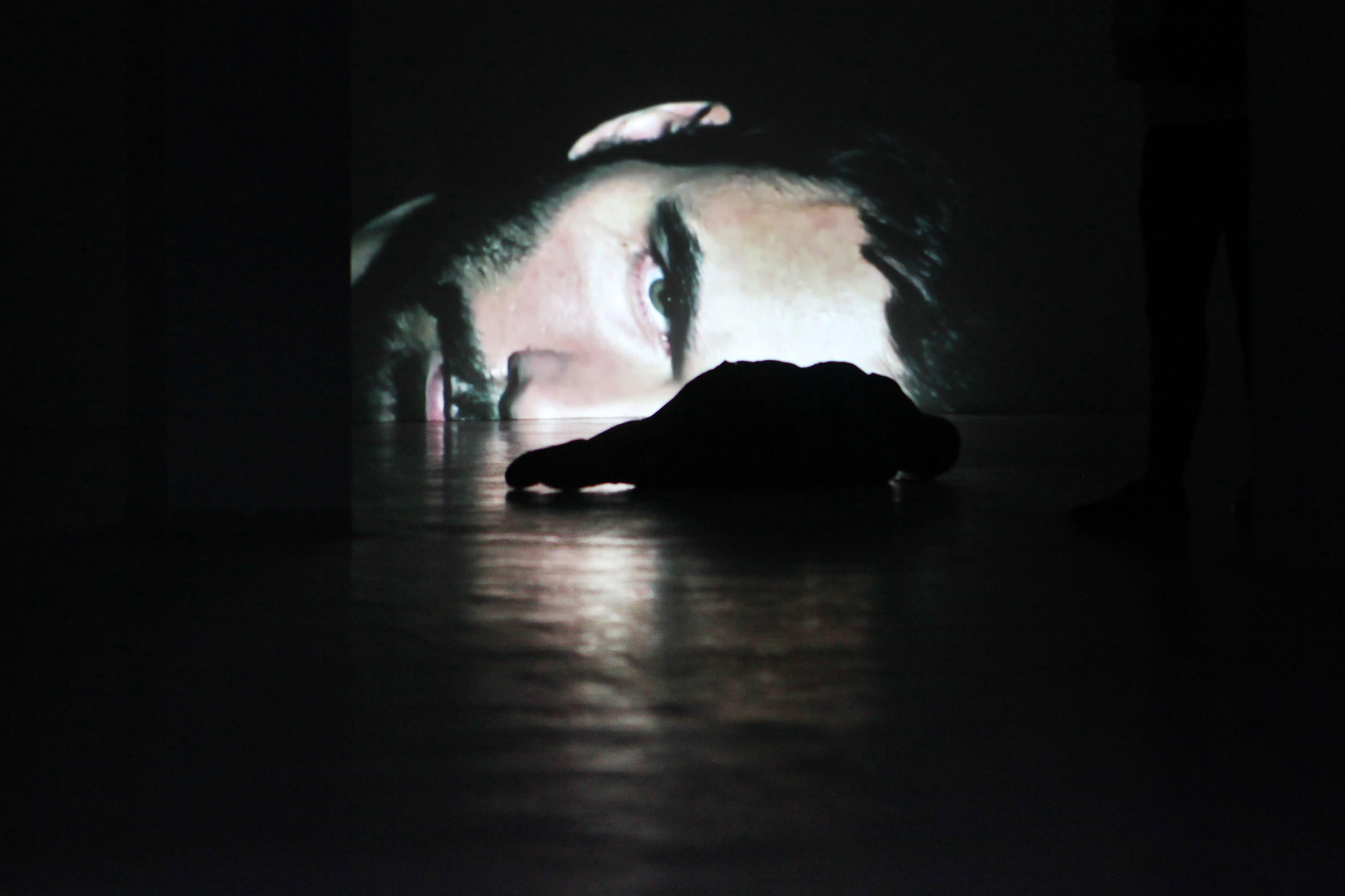 Goran Škofić: FACING (audio-video installation), 2013, Video Full HD, projection on the margin of the wall (size: 150 x 85 cm), 0’57’’, loop
Foto: Goran Škofić; Abdruck honorarfrei bei Namensnennung
