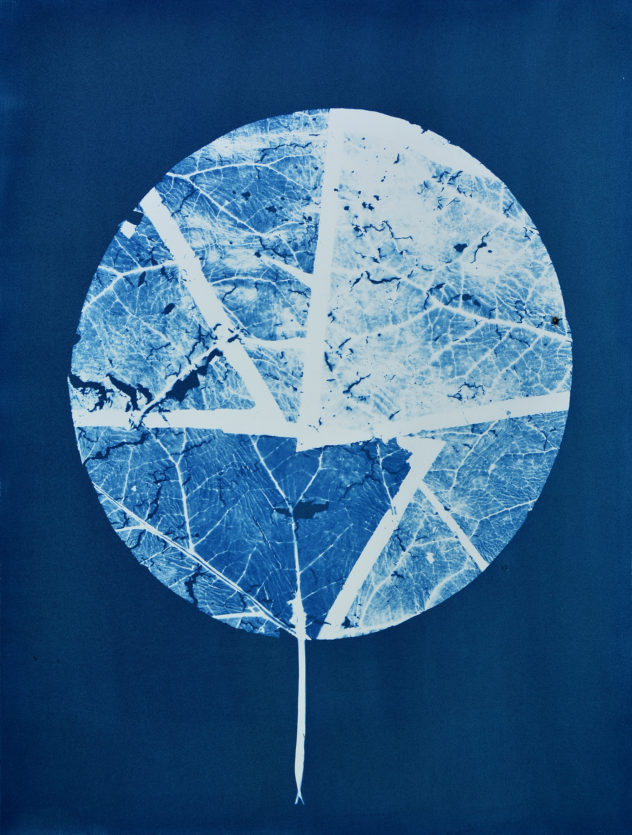 Blueprint (MIrror)
2019, Cyanotypie auf Papier, 100 x 70 cm, gerahmt: 80 x 110 x 3cm, Kastenrahmen Eiche
Foto: Regula Dettwiller

