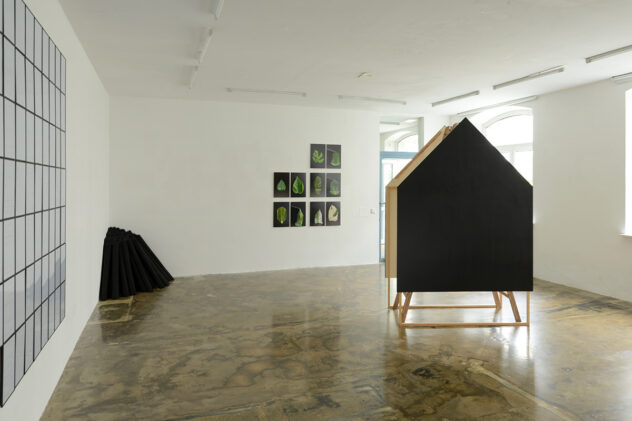 GIMME SHELTER 2025 im sehsaal