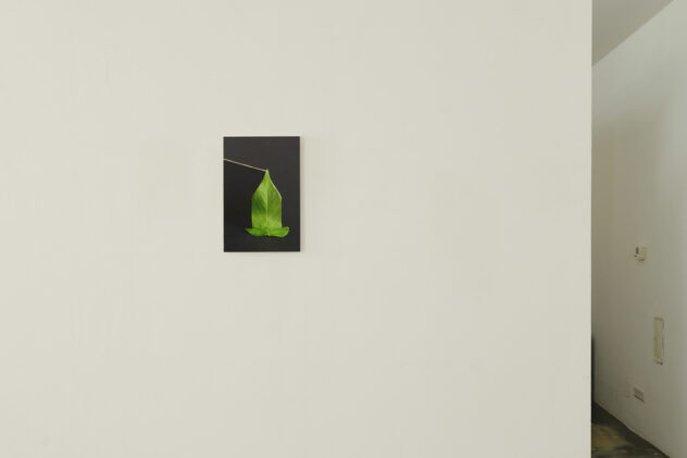 GIMME SHELTER 2025 im sehsaal